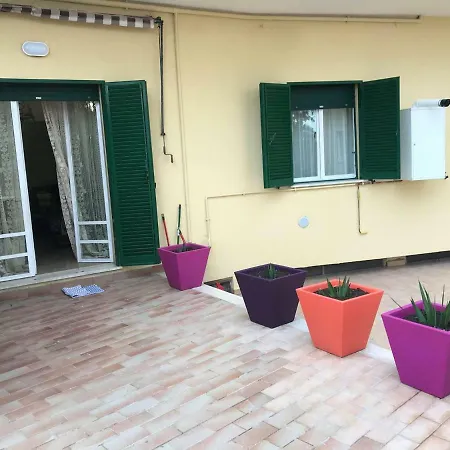 Yellow Rose Apartment